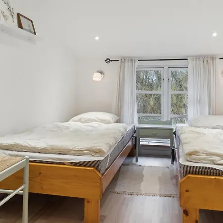 Pet Friendly In Apartment